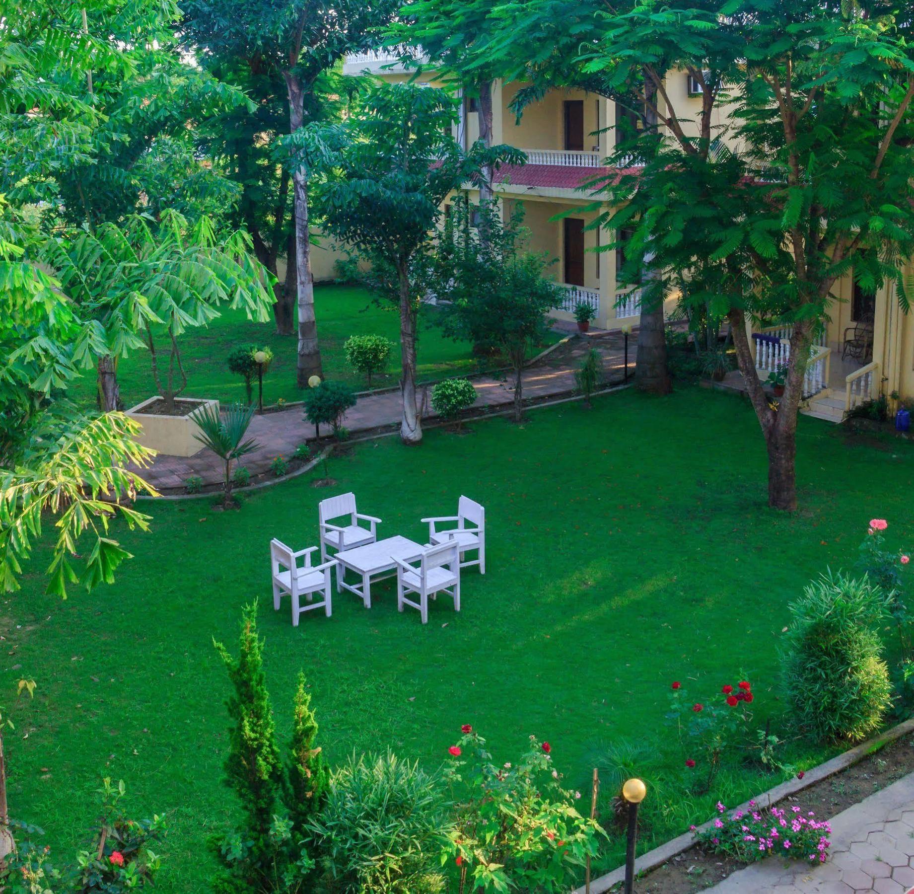 Hotel Rainforest Sauraha Esterno foto