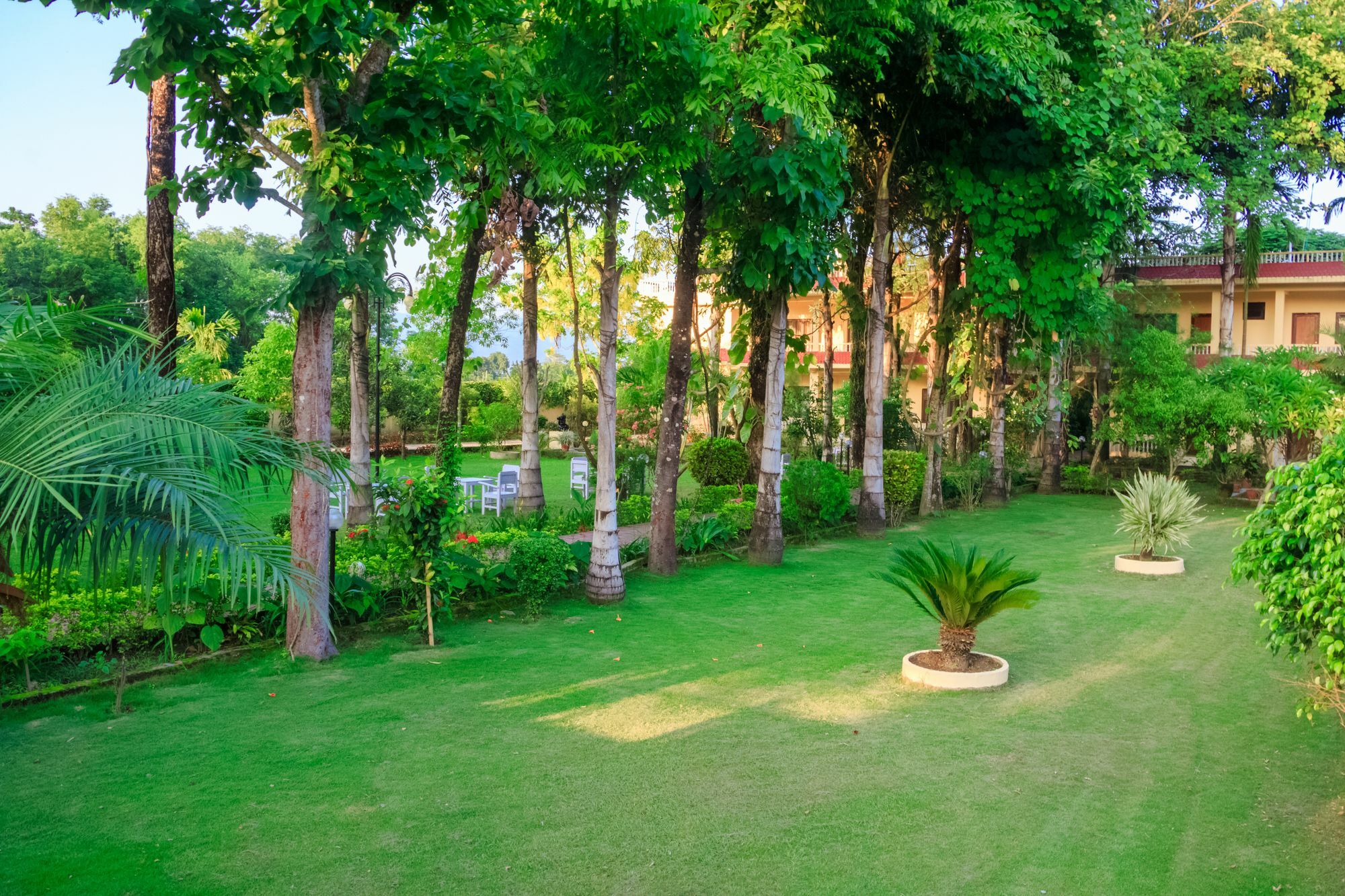 Hotel Rainforest Sauraha Esterno foto